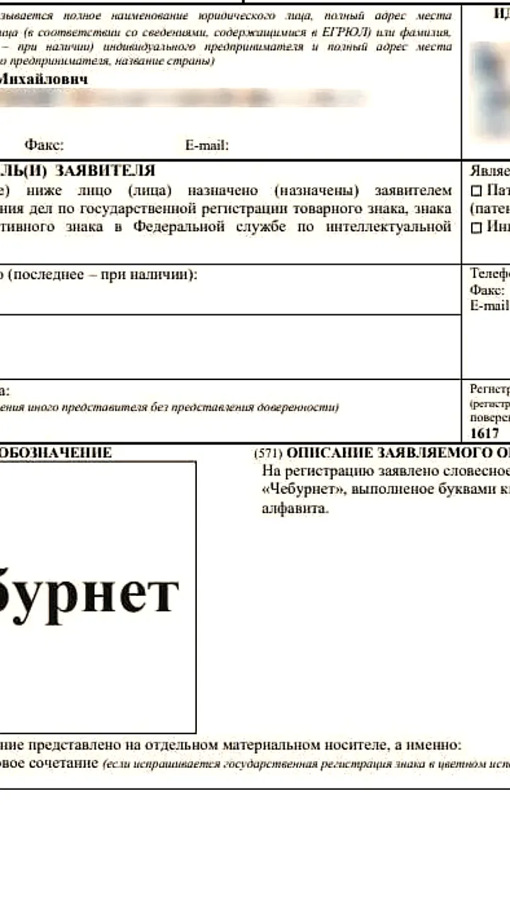 В России зарегистрируют товарный знак 'Чебурнет' для одежды и аксессуаров