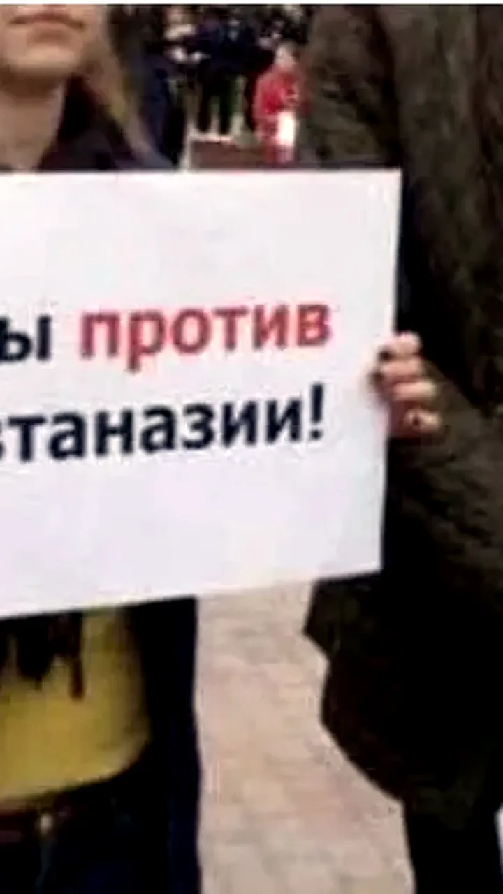 В Красноярском краевом суде рассматривается иск зоозащитников против закона об эвтаназии бездомных собак
