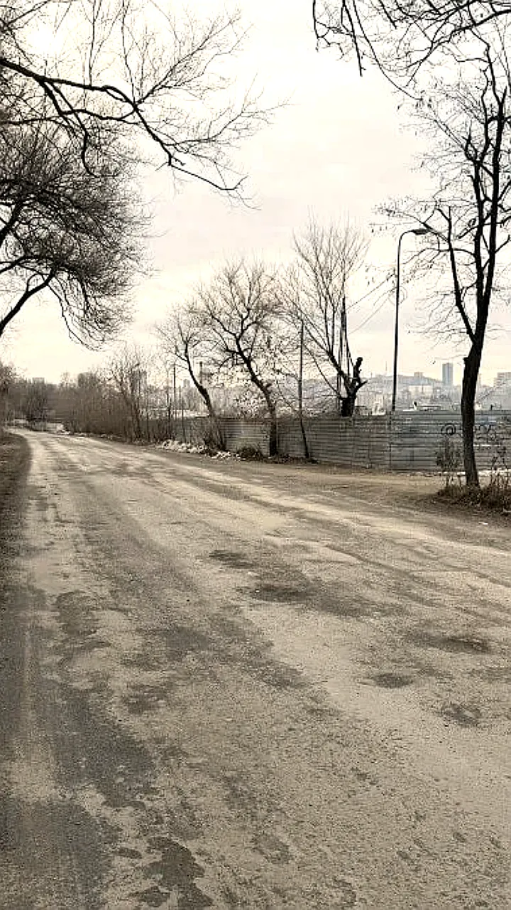 Во Владивостоке объявлен конкурс на ремонт дороги через Нефтеветку с бюджетом 263 миллиона рублей