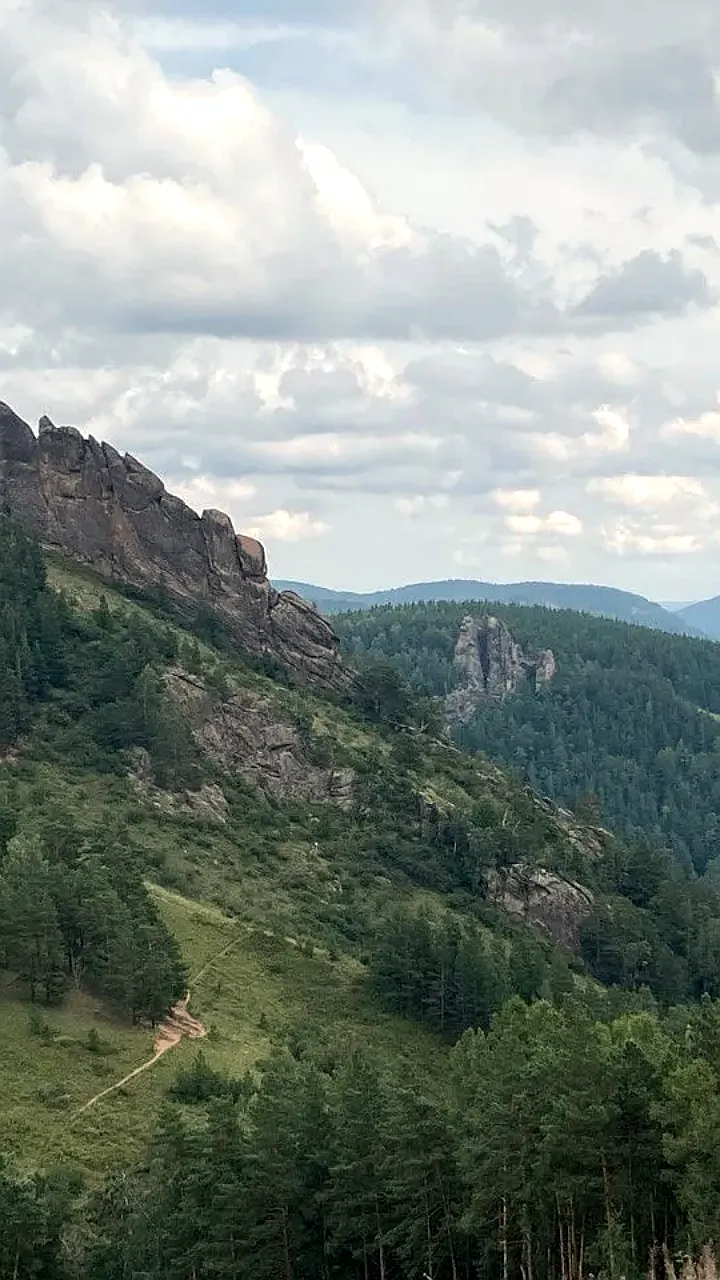 Змея укусила туриста на Красноярских Столбах
