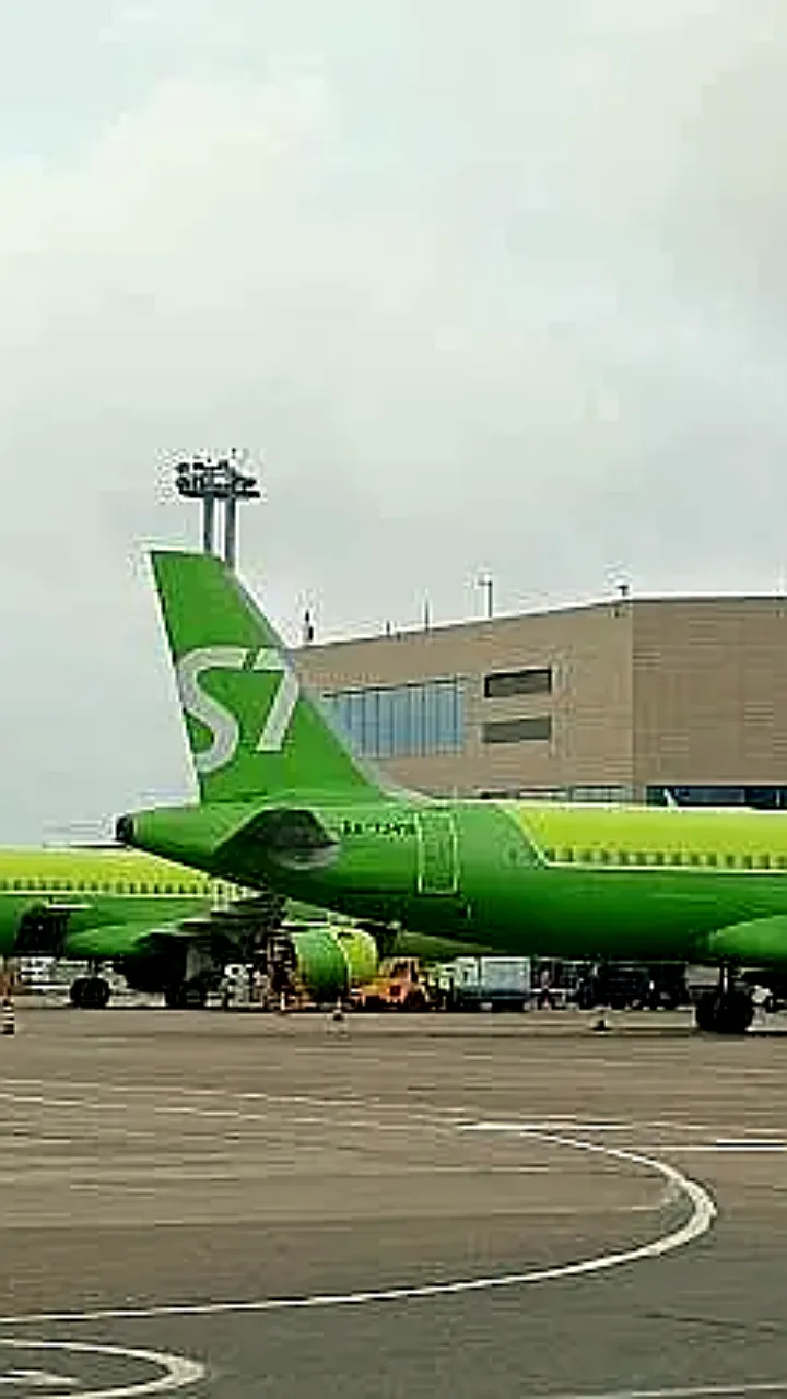 S7 Airlines увеличивает количество рейсов между Москвой и Санкт-Петербургом