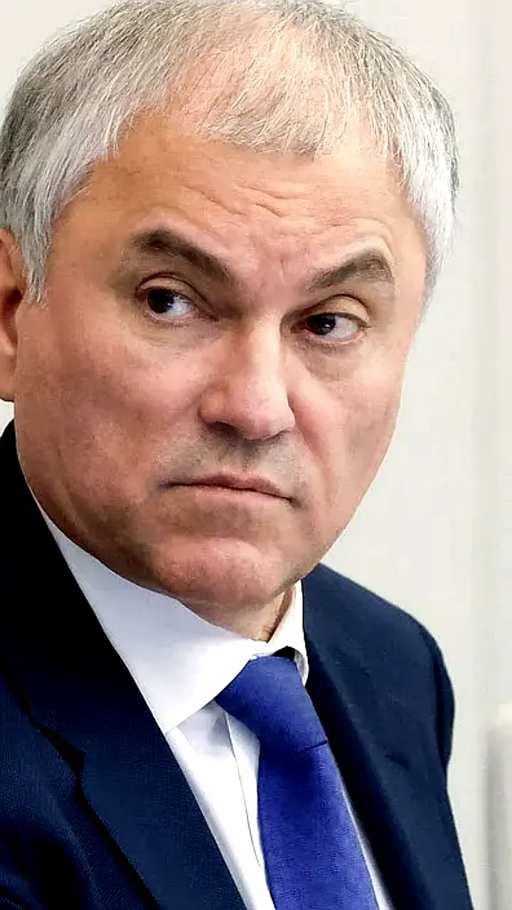 Госдума рассмотрит законопроекты по миграционной политике и социальной поддержке участников СВО