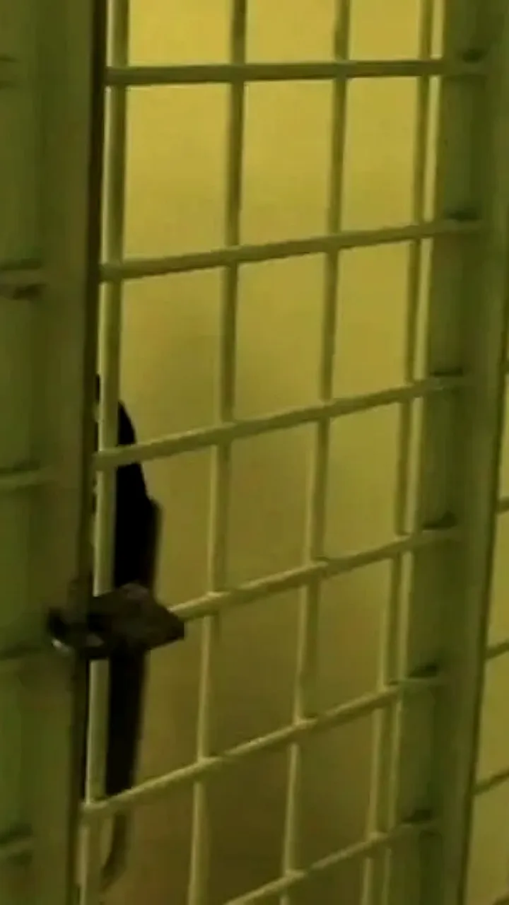 Полиция разыскивает женщину в голубой шубе для возврата украденных двух миллионов рублей