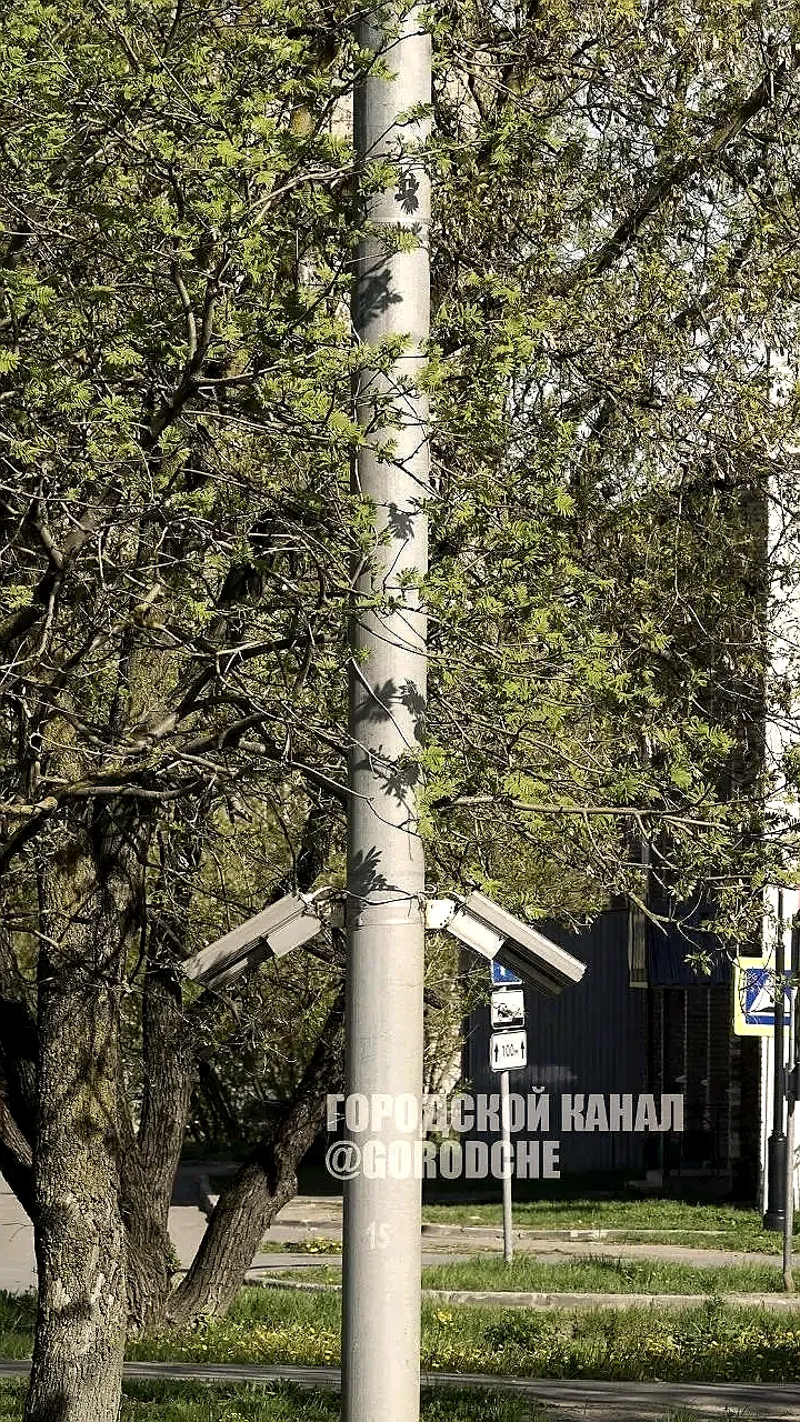 Вологодская область занимает 7 место в России по достижениям национальных проектов за 2025 год