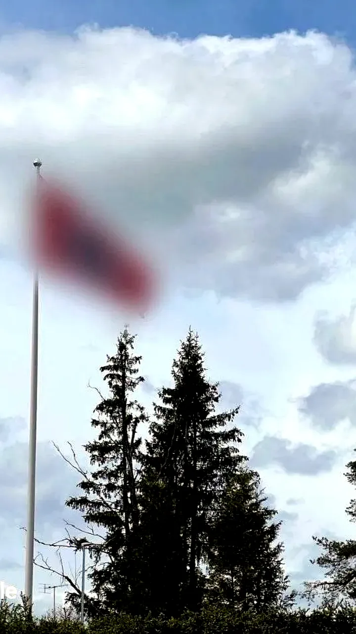 Флаг со свастикой снят с частной территории в Лаппеэнранте после обращения граждан