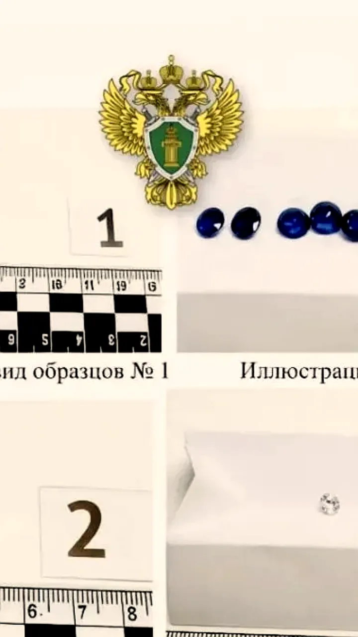 В Самаре рассматриваются дела о контрабанде драгоценных камней и янтаря