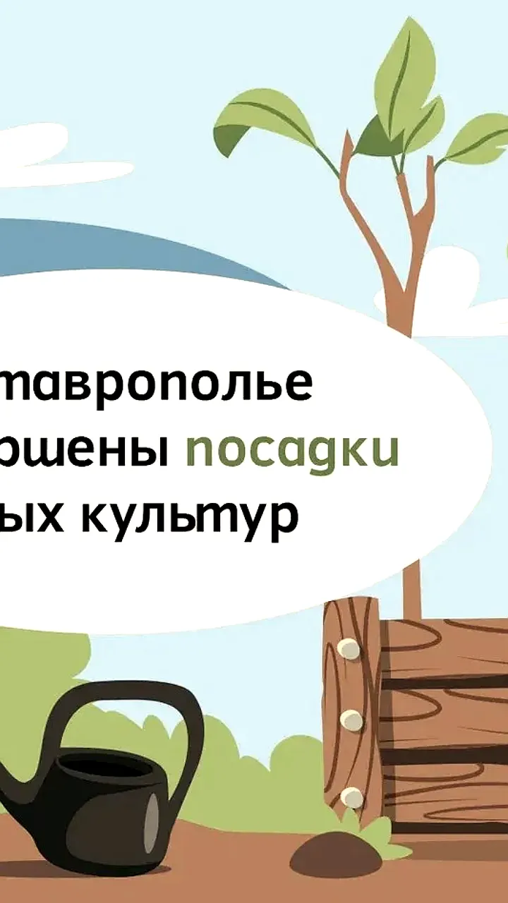 Завершение лесовосстановления в Северной Осетии: высажено 16600 саженцев