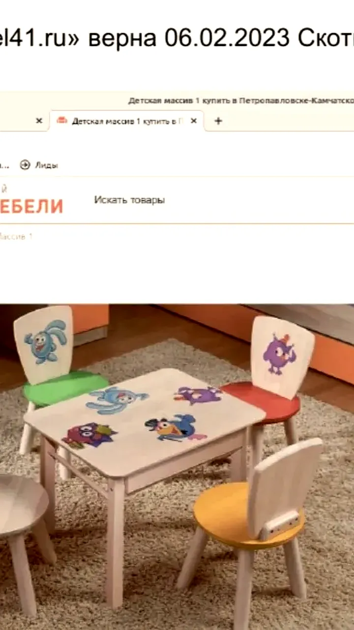 Суд взыскал 110 тысяч рублей с камчатских мебельщиков за использование изображений Смешариков