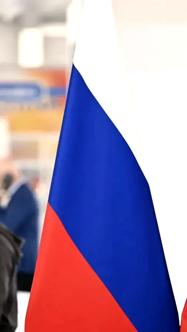 Китайские предприниматели составляют четверть иностранных компаний в России