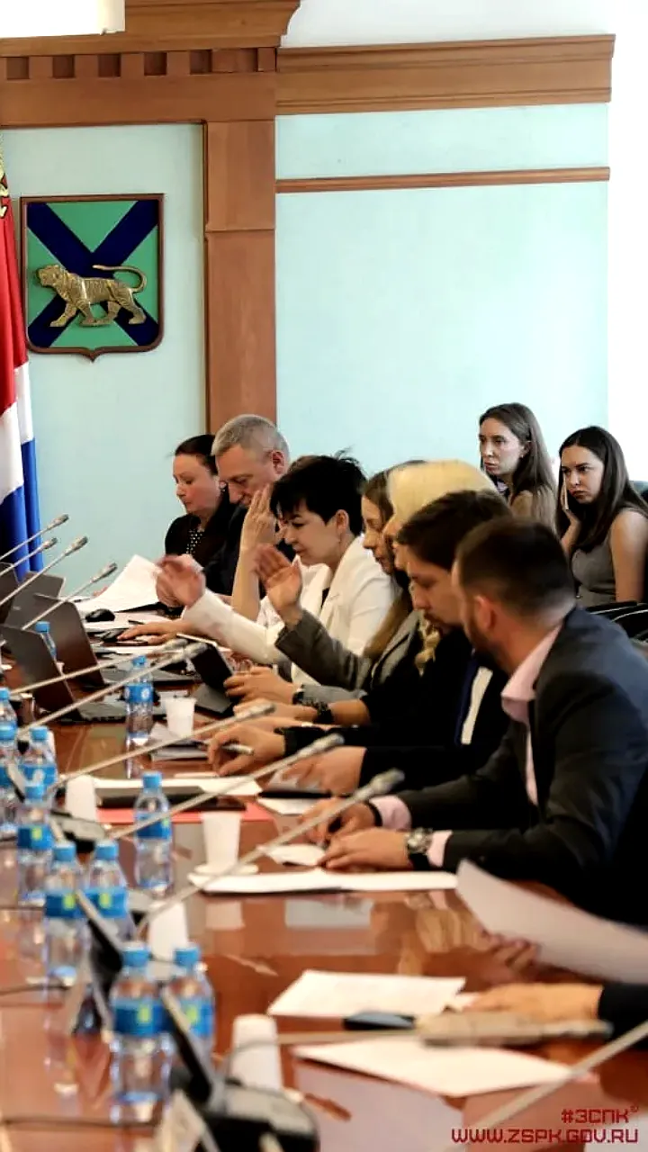 Приморский парламент рассматривает введение ограничений на электросамокаты