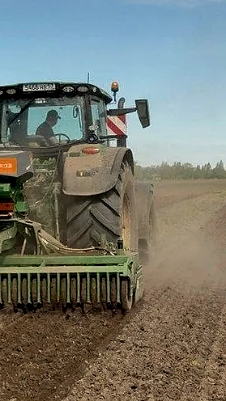 Доля элитных семян яровых зерновых в Новгородской области достигла 30,4%