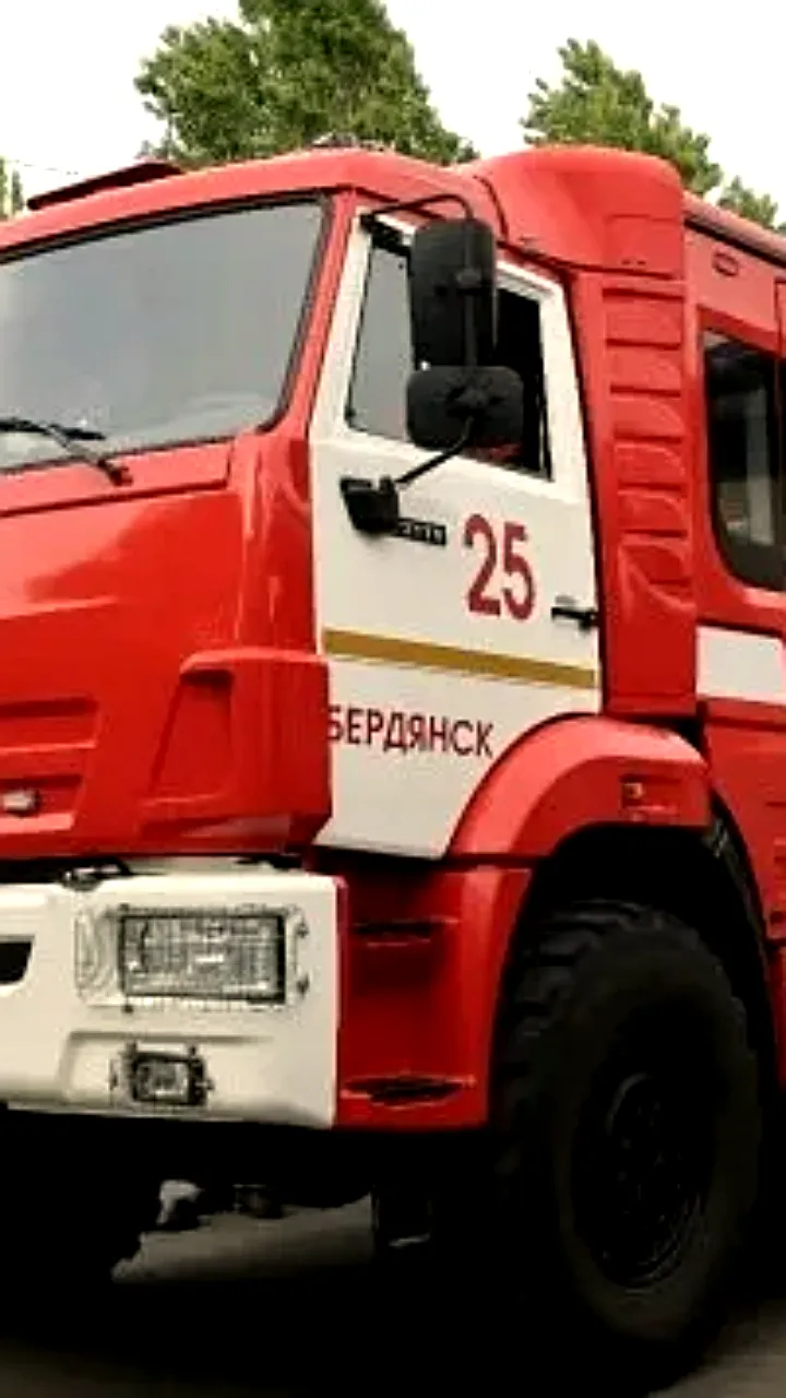 Лесные пожары в Якутии и Запорожье: причины и последствия
