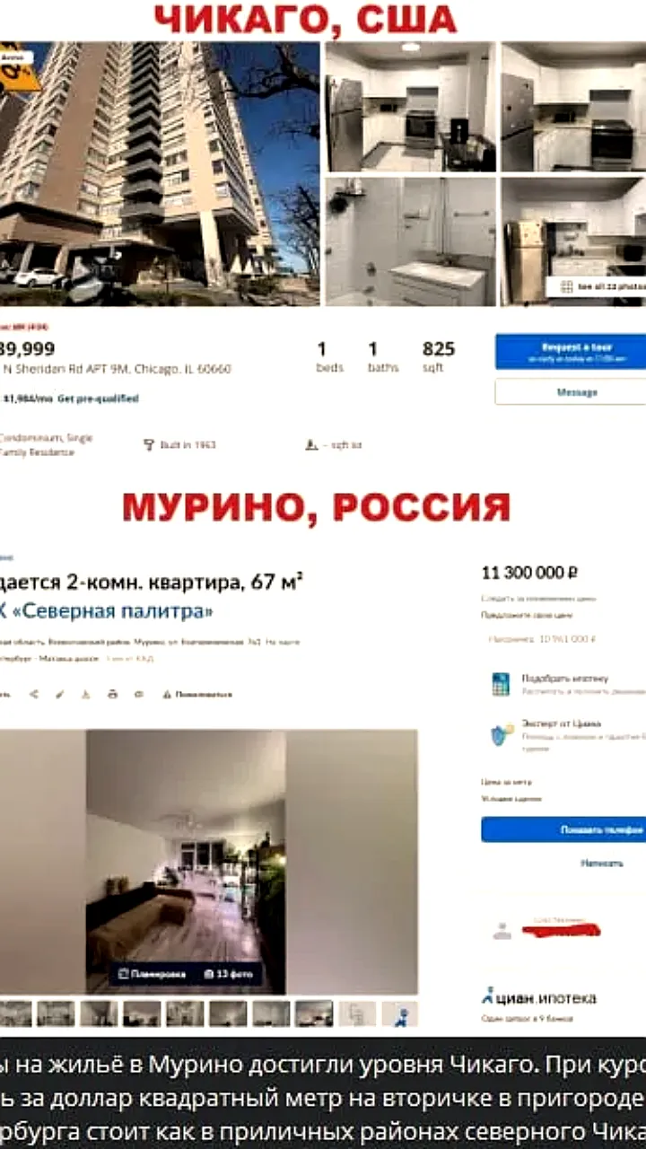 Цены на жильё в Мурино сравнялись с Чикаго, но остаются ниже